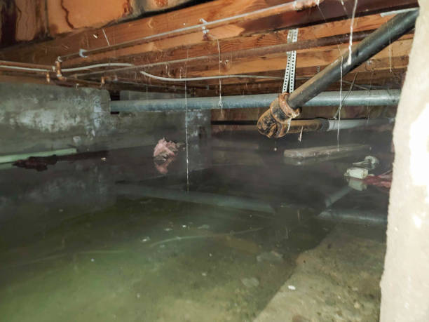 Best Flood damage cleanup  in Midland, WA