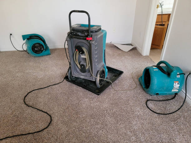 Best 24/7 water damage repair  in Midland, WA