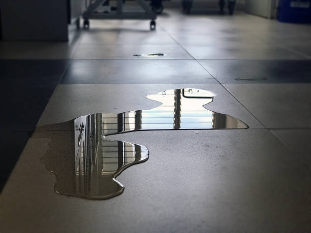 Best 24-hour water damage restoration  in Midland, WA