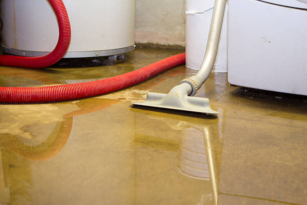Best Ceiling water damage repair  in Midland, WA