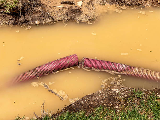 Best Water damage restoration near me  in Midland, WA