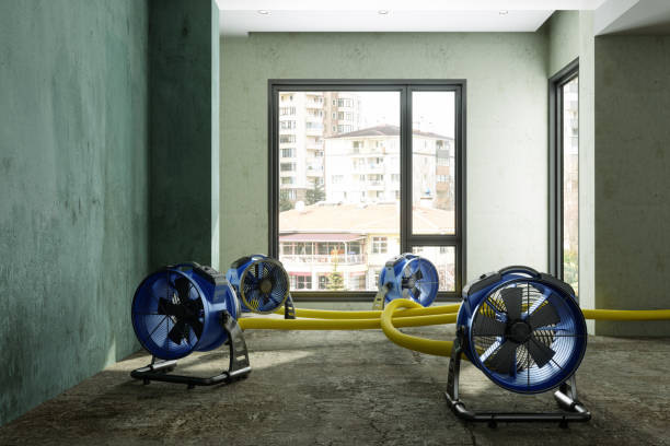 Best Sewage cleanup and water damage restoration  in Midland, WA